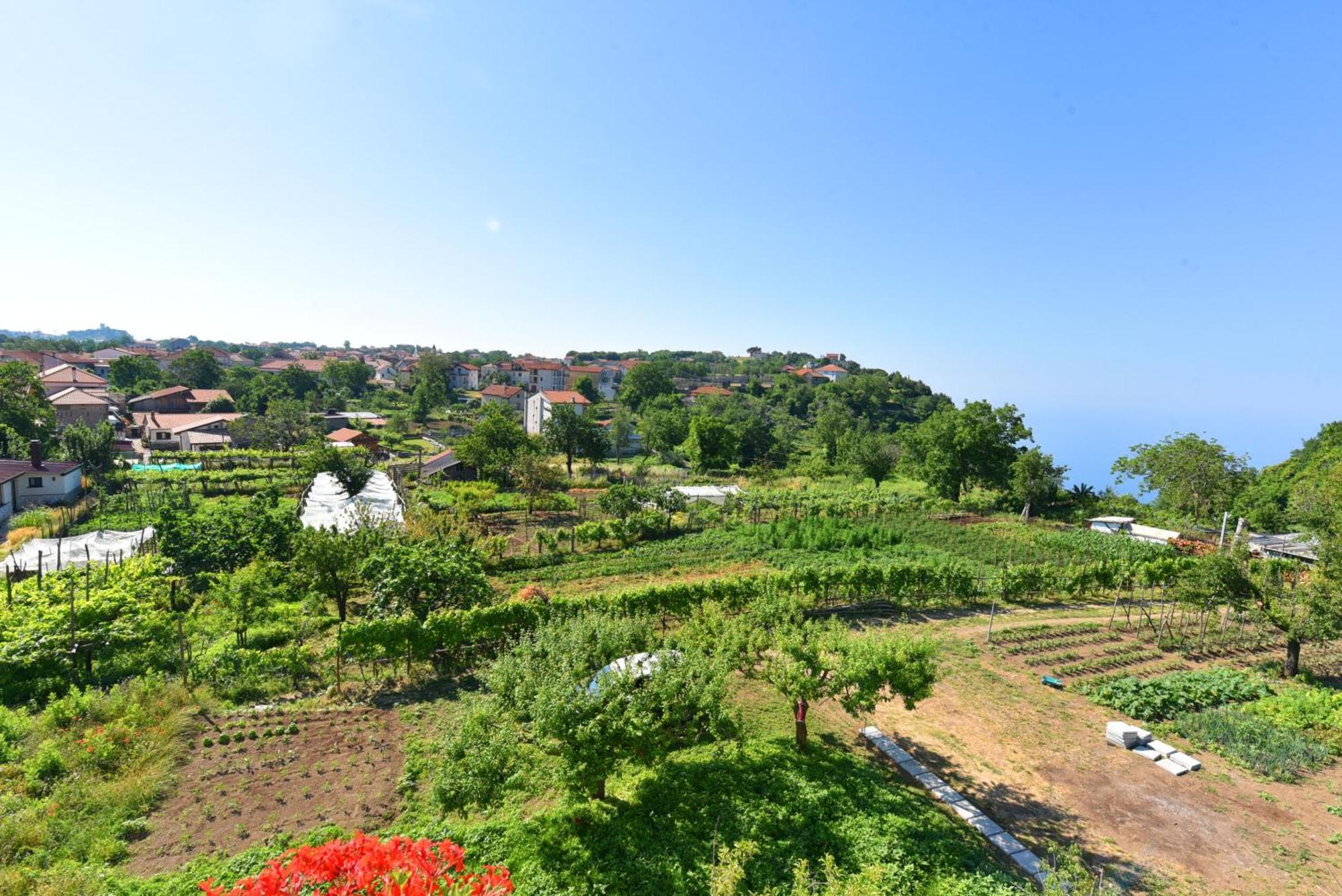 Appartamento La Terrazza Sugli Dei 2 Agerola