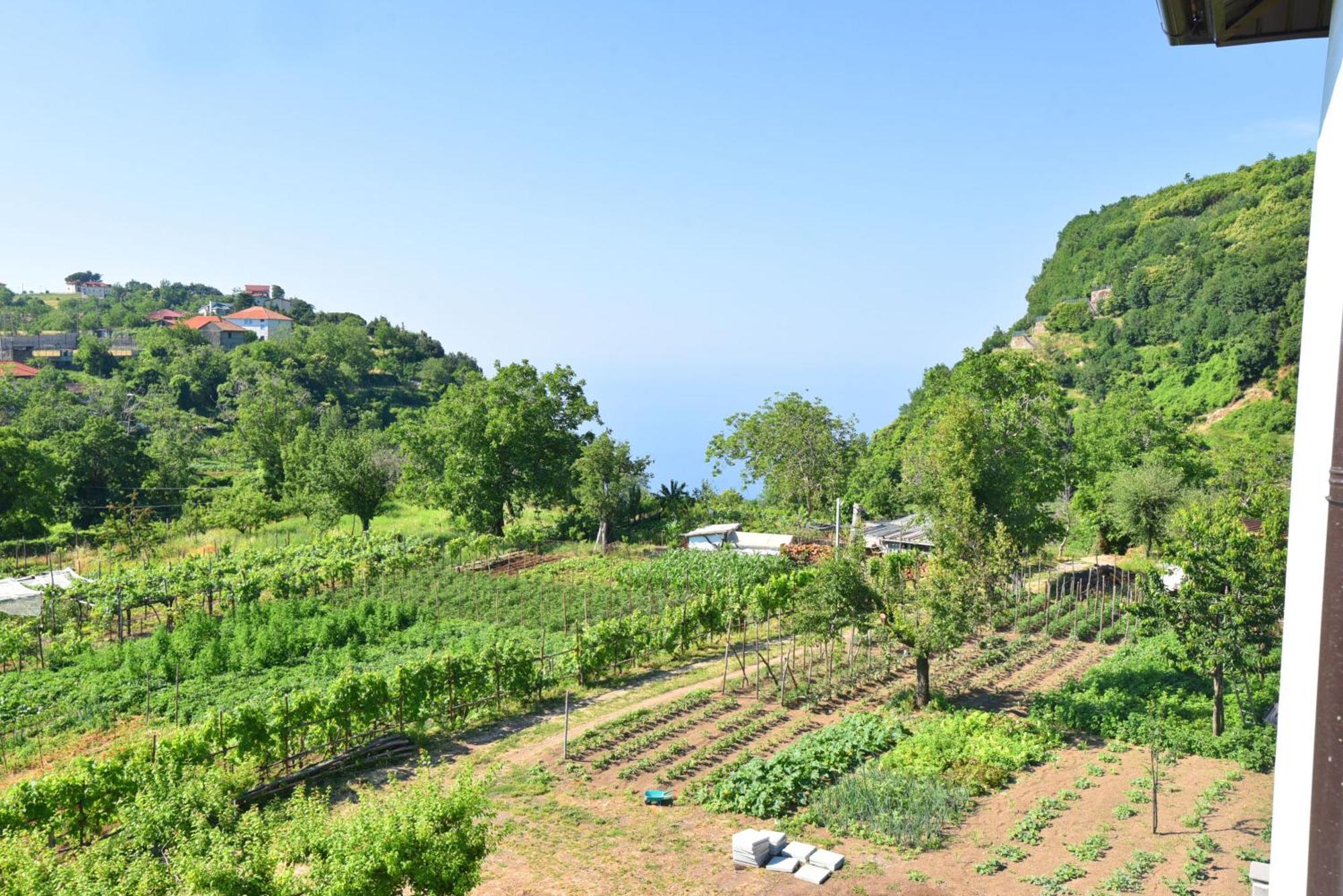 Appartamento La Terrazza Sugli Dei 2 Agerola